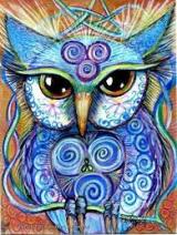 Mystic Owl