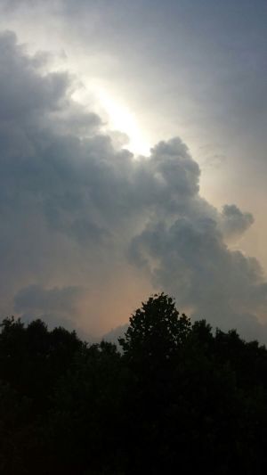 Wise Owl Joseph-Storm