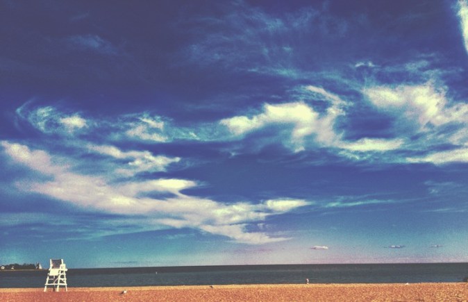 WiseOwlChristine-Beach