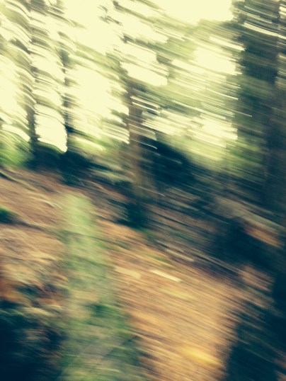 FROM WISE OWL CINDY (EFFECT INTENTIONAL)