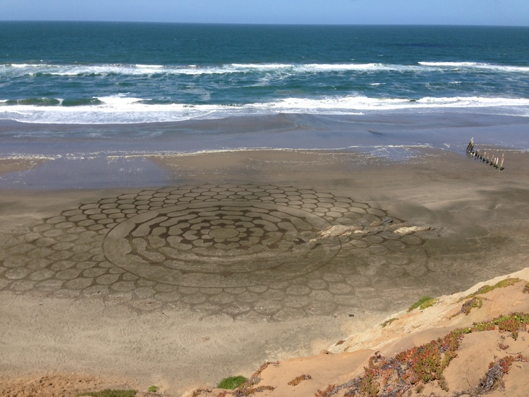 FROM WISE OWL LAWRENCE TAKEN NEAR SAN FRANCISCO, CALIFORNIA